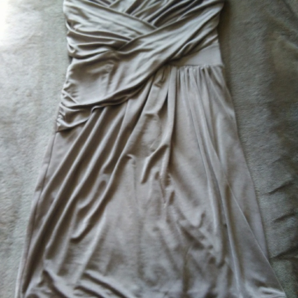 Champagne Short  formal Express dress